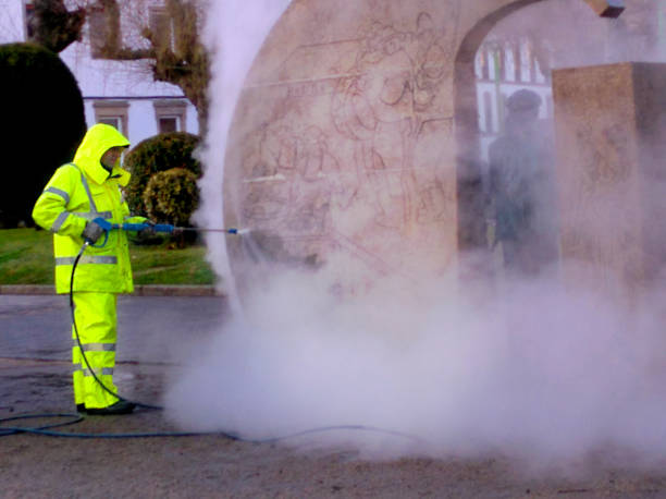 Best Pressure Washing Driveway  in Saluda, SC